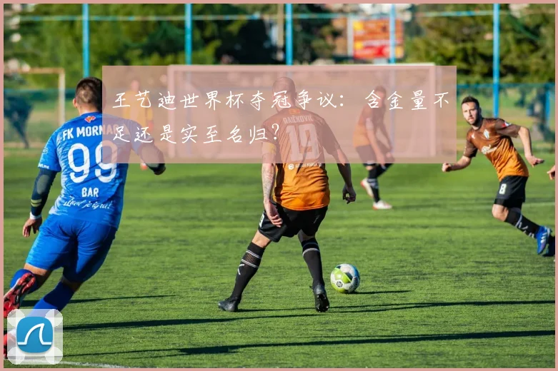 王艺迪世界杯夺冠争议:含金量不足还是实至名归?