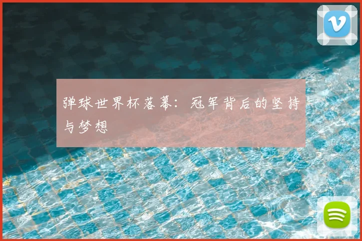 弹球世界杯落幕：冠军背后的坚持与梦想
